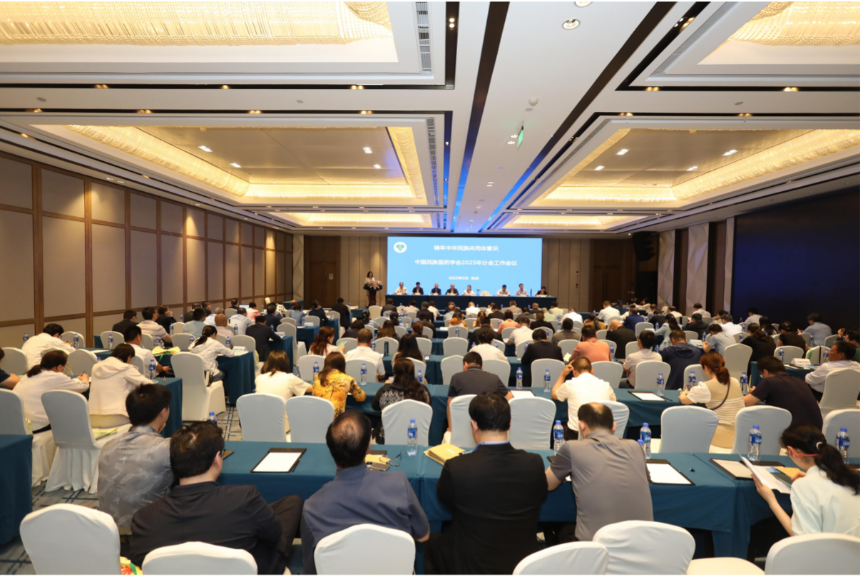 2025年中国民族医药学会分会工作会议 在杭州召开