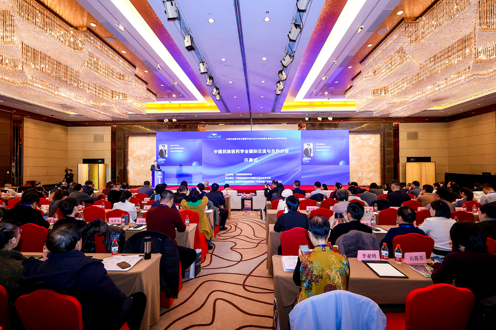 中国民族医药学会国际交流与合作分会换届会议暨2025年学术年会在北京召开